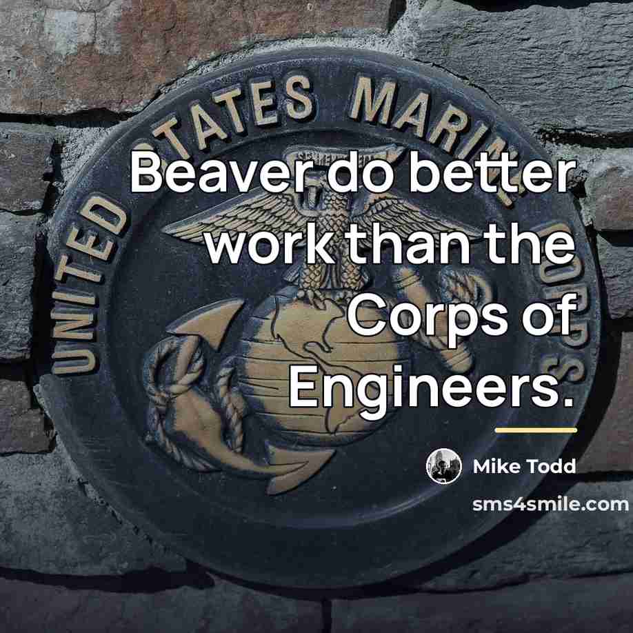“Beaver do better work than the Corps of Engineers.…” quote by Mike Todd