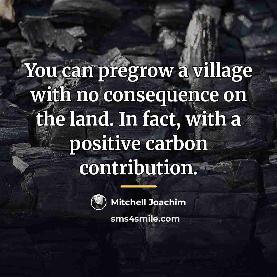 “You can pregrow a village with no consequence on the…” quote by Mitchell Joachim