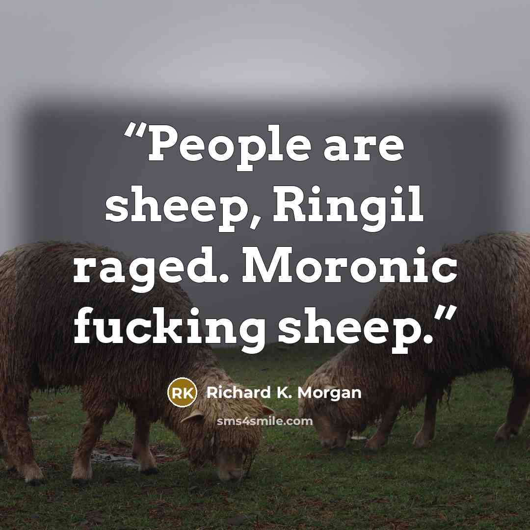 “People are sheep, Ringil raged. Moronic fucking sheep.” quote by Richard K. Morgan