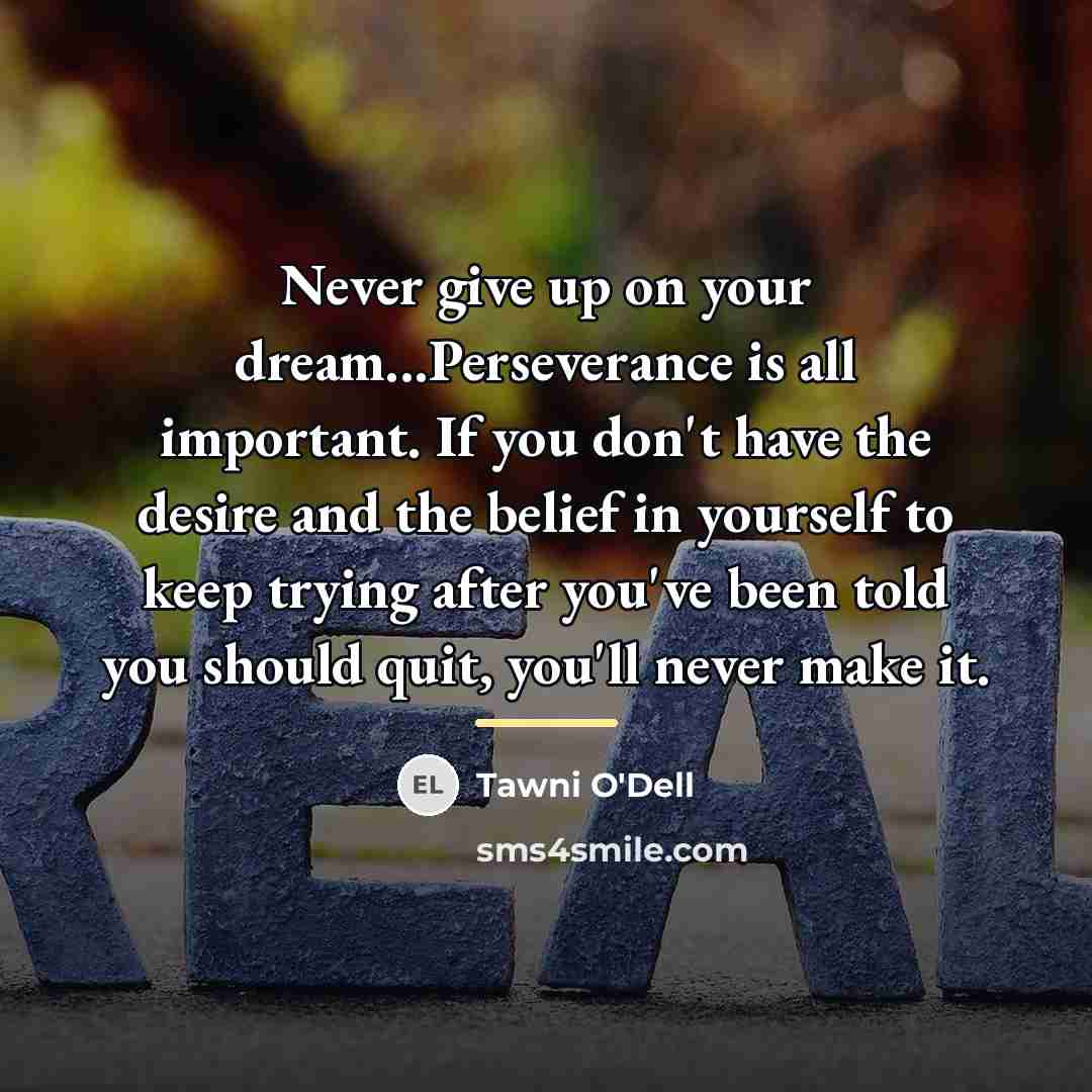 “Never give up on your dream...Perseverance is all important. If…” quote by Tawni O'Dell
