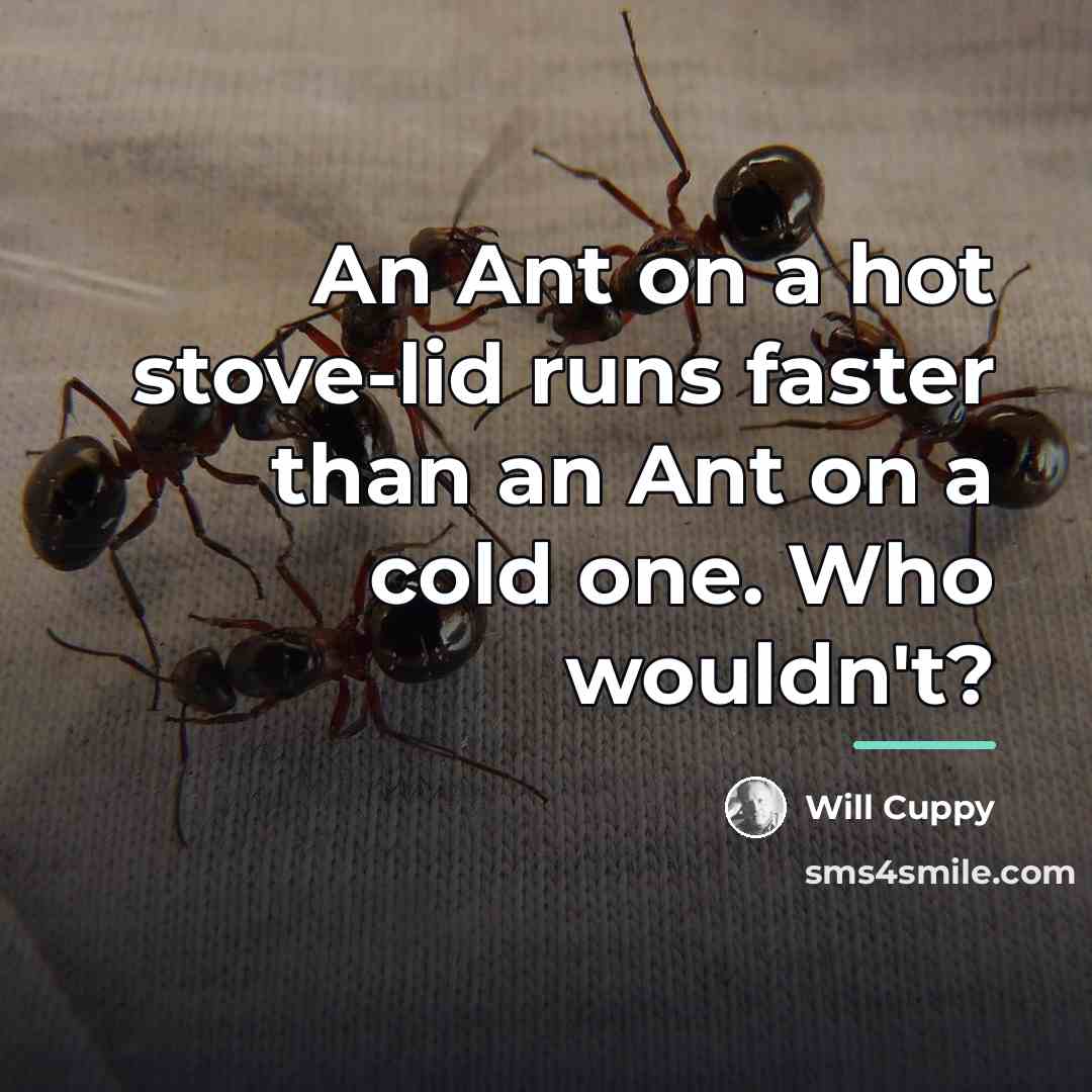 “An Ant on a hot stove-lid runs faster than an…” quote by Will Cuppy