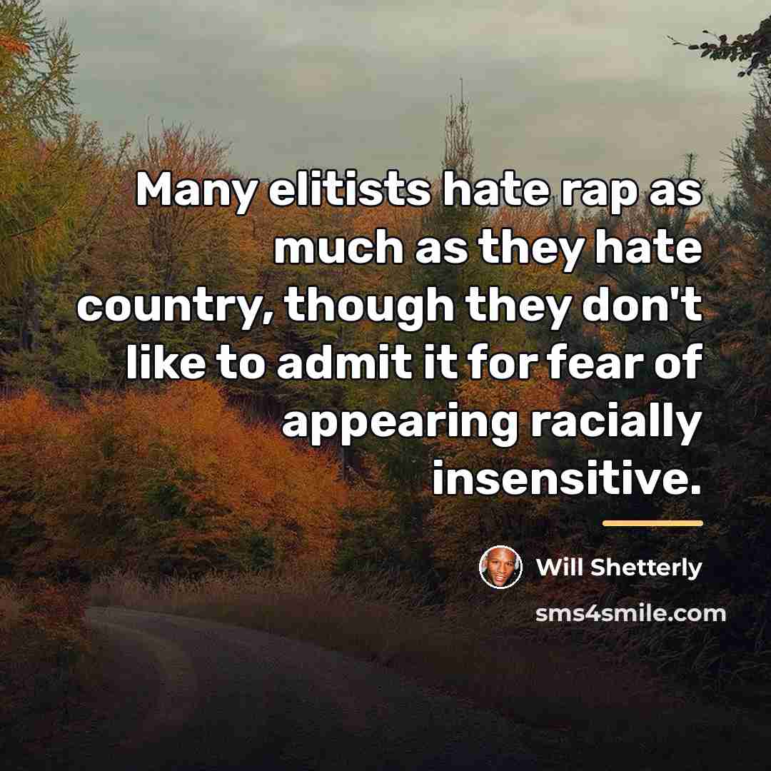 “Many elitists hate rap as much as they hate country,…” quote by Will Shetterly