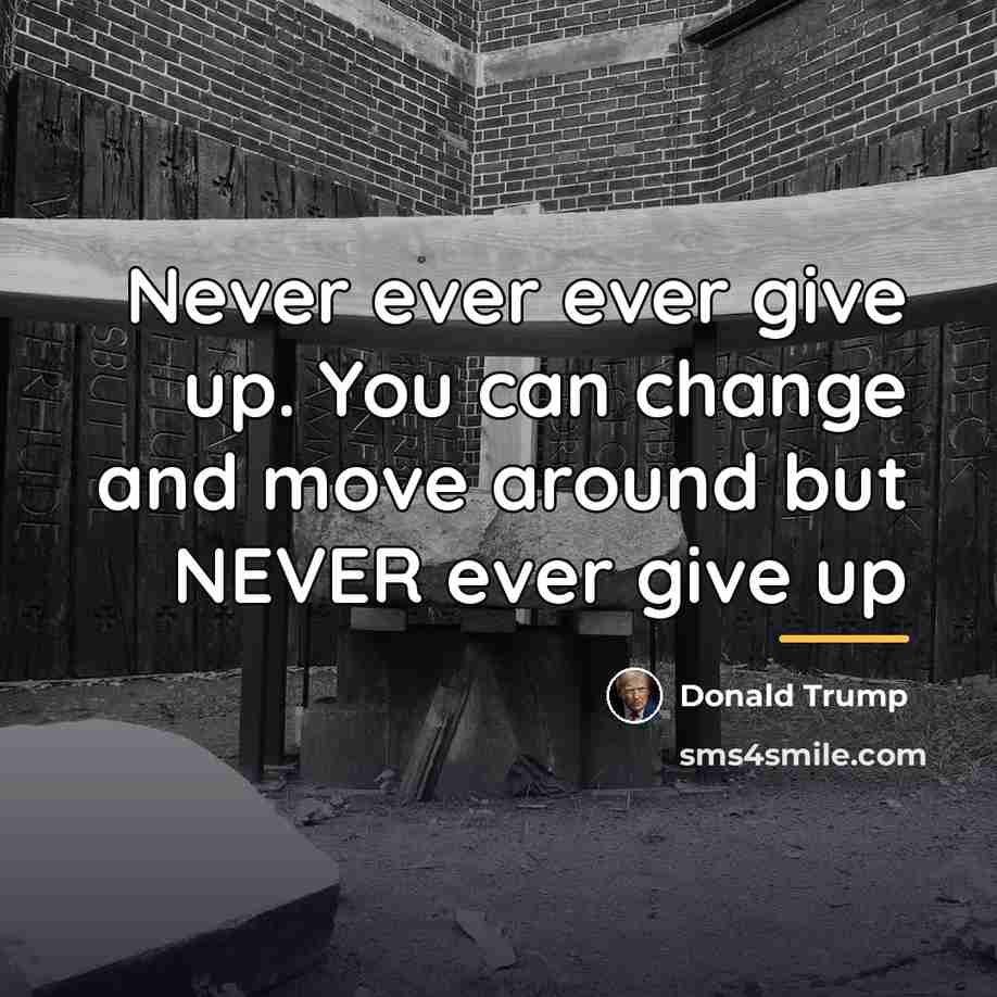 “Never ever ever give up. You can change and move…” quote by Donald Trump