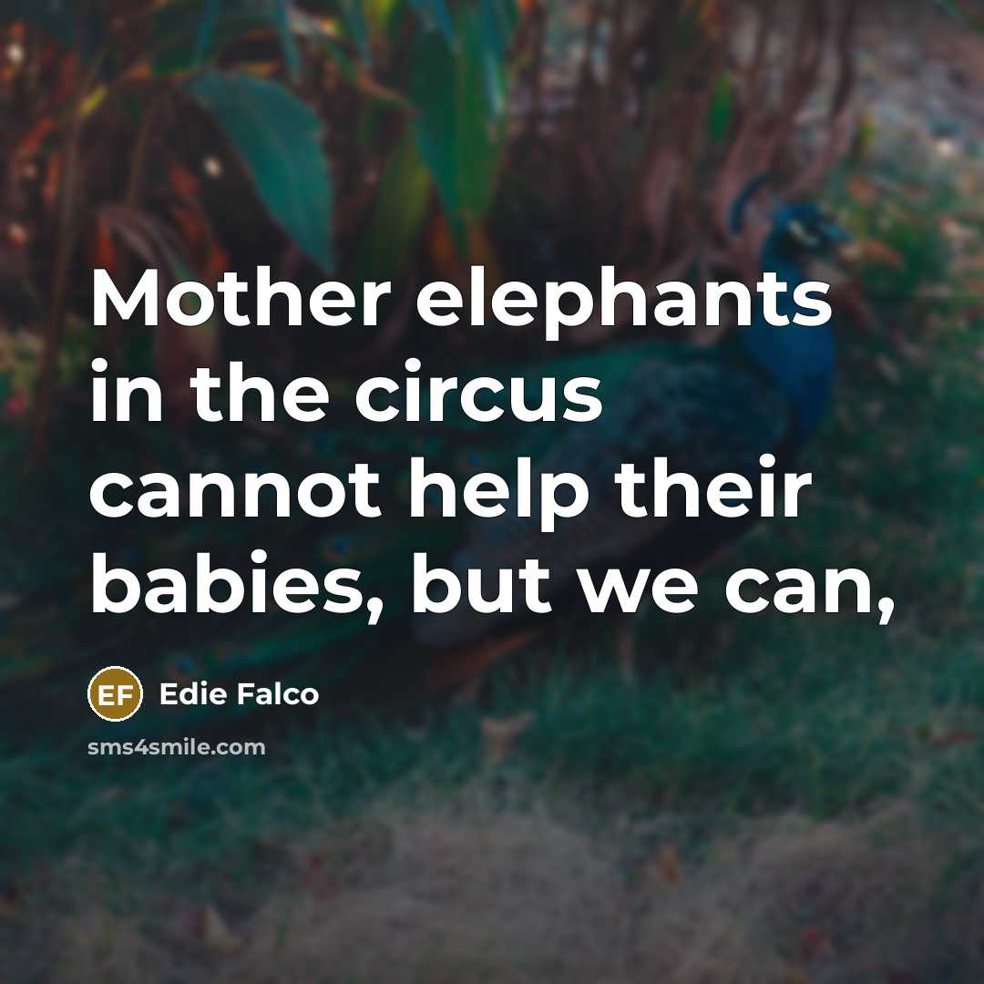 “Mother elephants in the circus cannot help their babies, but we can,” quote by Edie Falco