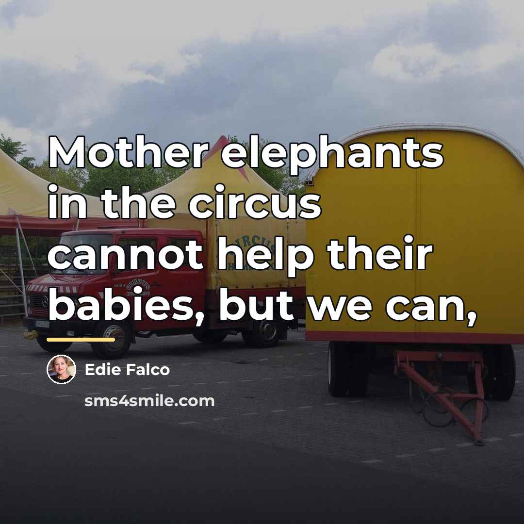 “Mother elephants in the circus cannot help their babies, but…” quote by Edie Falco