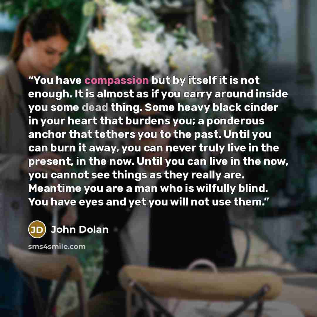 “You have compassion but by itself it is not enough. It is almost as if you carry around inside you some dead thing. Some heavy black cinder in your heart that burdens you; a ponderous anchor that tethers you to the past. Until you can burn it away, you can never truly live in the present, in the…” quote by John Dolan