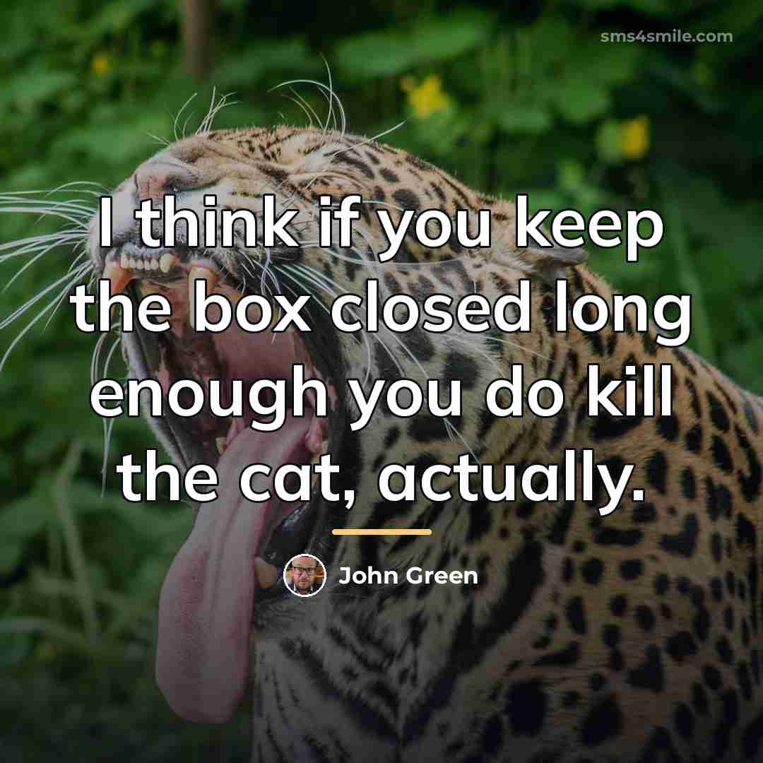 “I think if you keep the box closed long enough…” quote by John Green