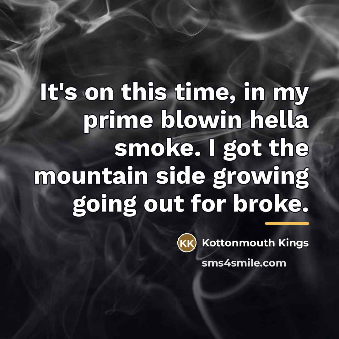 “It's on this time, in my prime blowin hella smoke.…” quote by Kottonmouth Kings