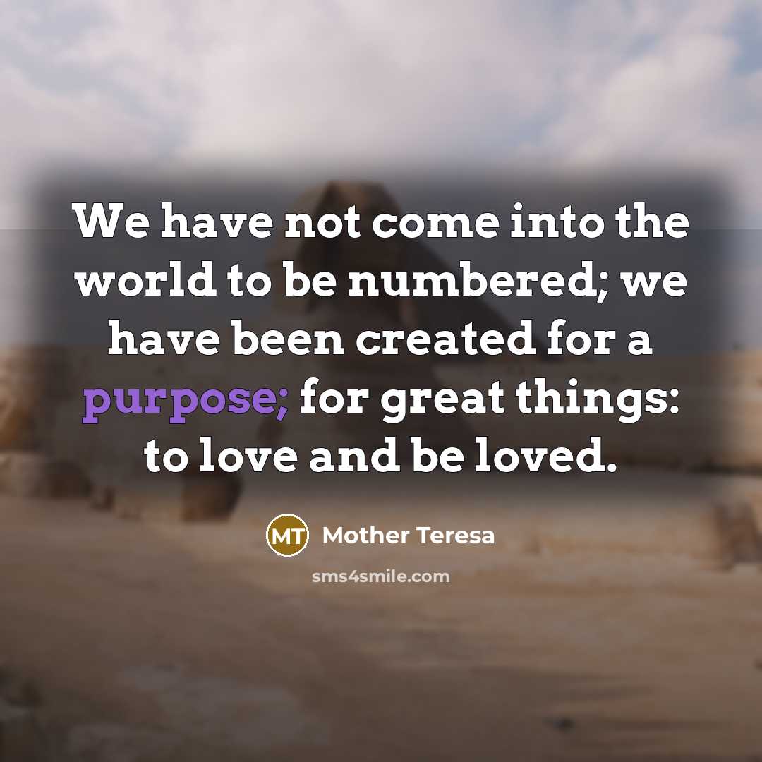 “We have not come into the world to be numbered;…” quote by Mother Teresa