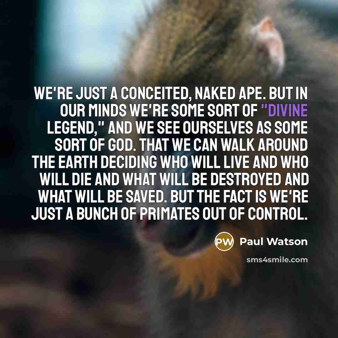“We're just a conceited, naked ape. But in our minds…” quote by Paul Watson