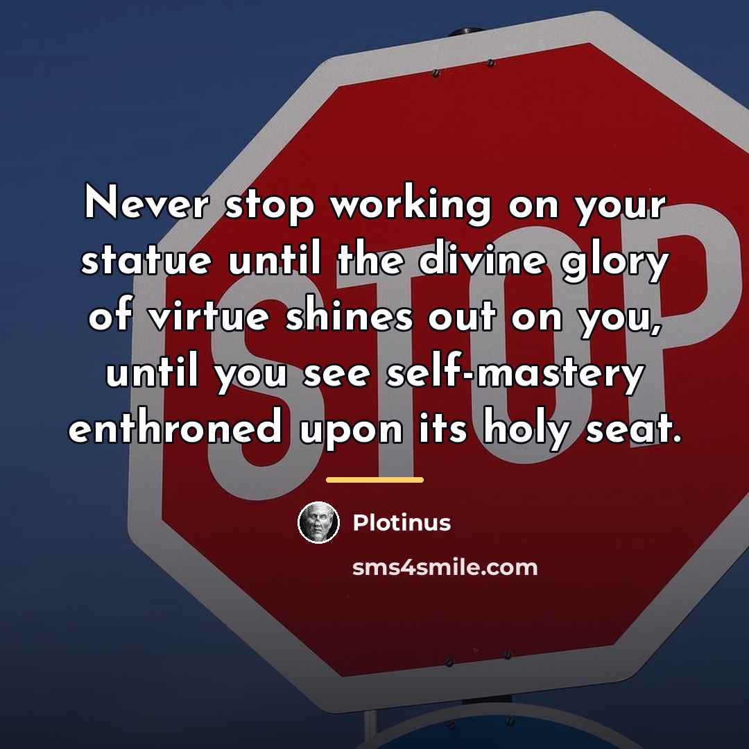 “Never stop working on your statue until the divine glory…” quote by Plotinus