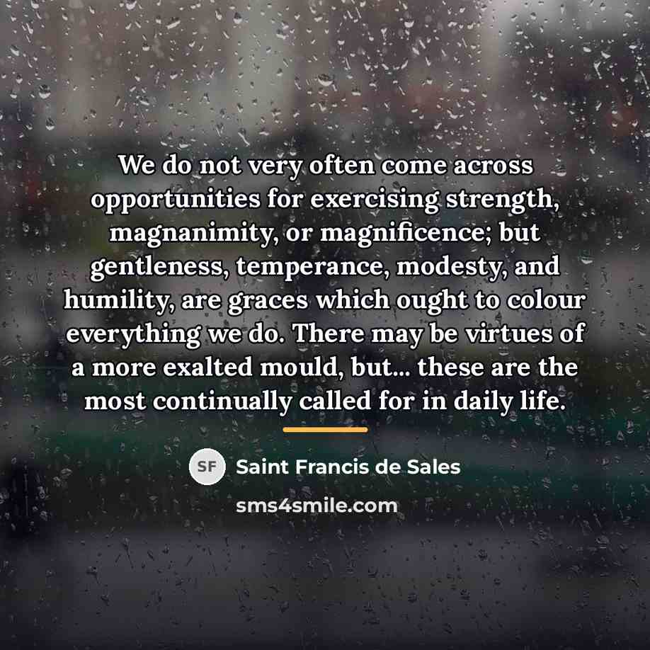 “We do not very often come across opportunities for exercising…” quote by Saint Francis de Sales