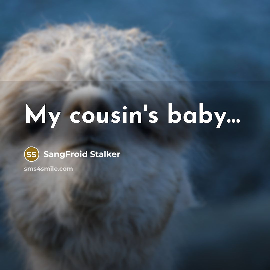 “My cousin's baby....…” quote by SangFroid Stalker