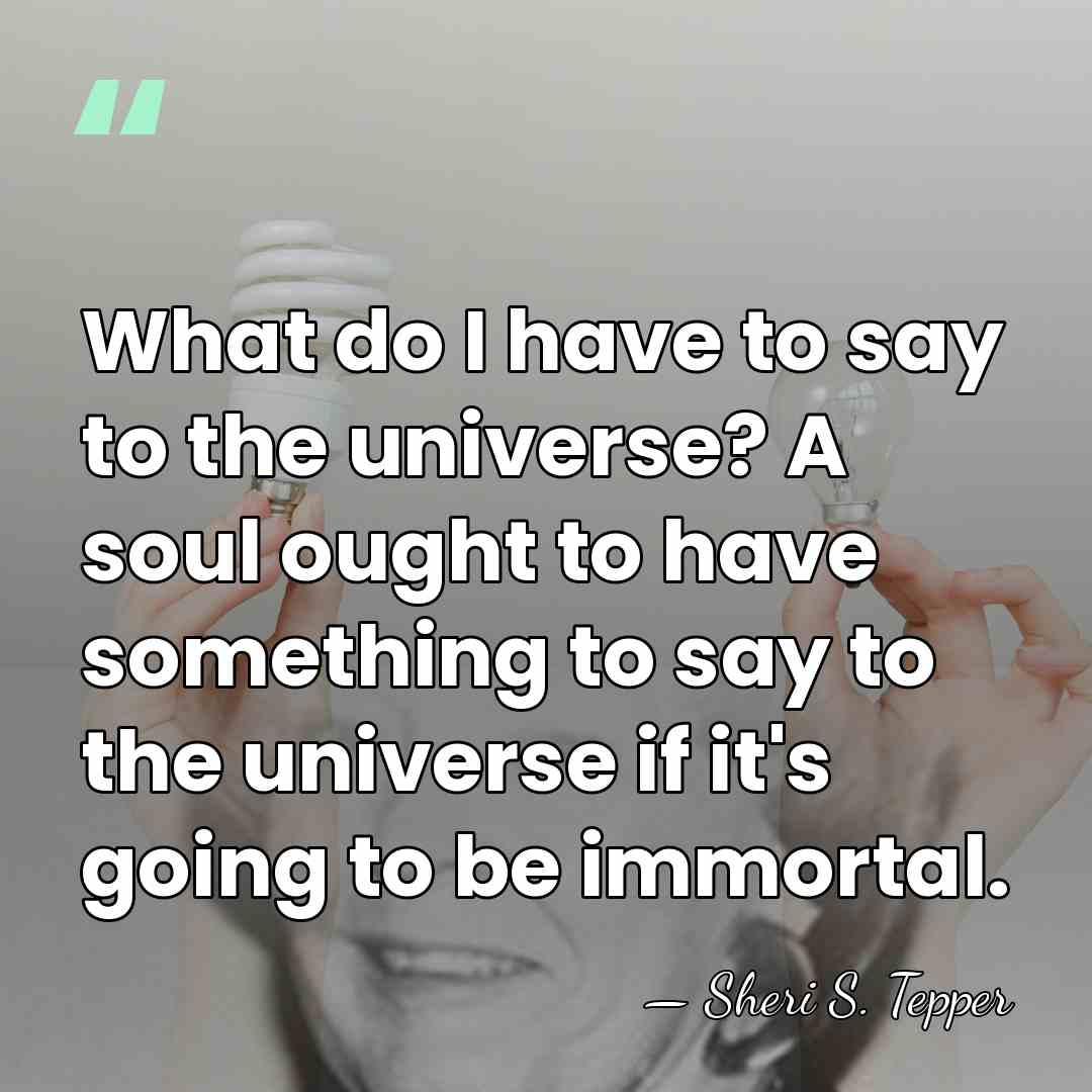 What do I have to say to the universe? A soul ought&hellip; - Sheri S. Tepper