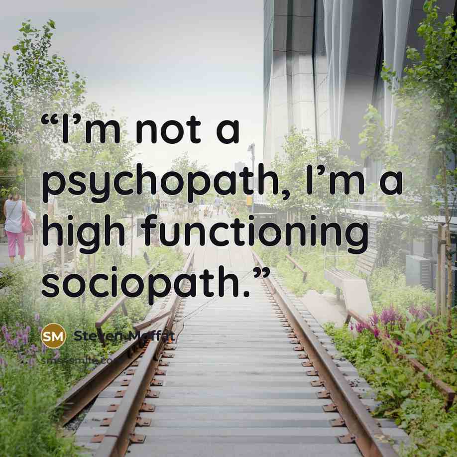 “I’m not a psychopath, I’m a high functioning sociopath.” quote by Steven Moffat
