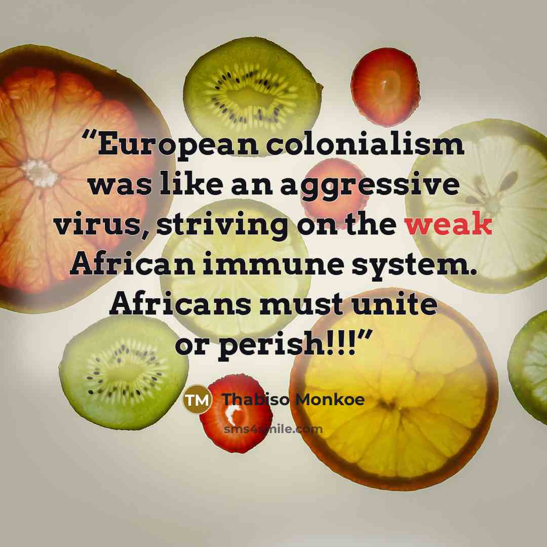 “European colonialism was like an aggressive virus, striving on the weak African immune system. Africans must unite or perish!!!” quote by Thabiso Monkoe