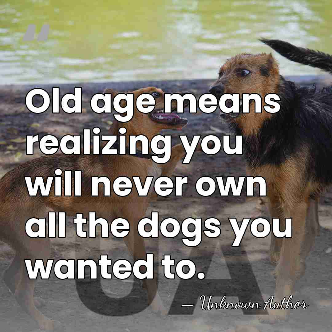 Old age means realizing you will never own all the dogs you&hellip; - Joe Gores