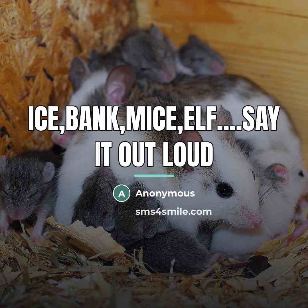 “Ice,bank,mice,elf....say it out loud…” quote by Anonymous