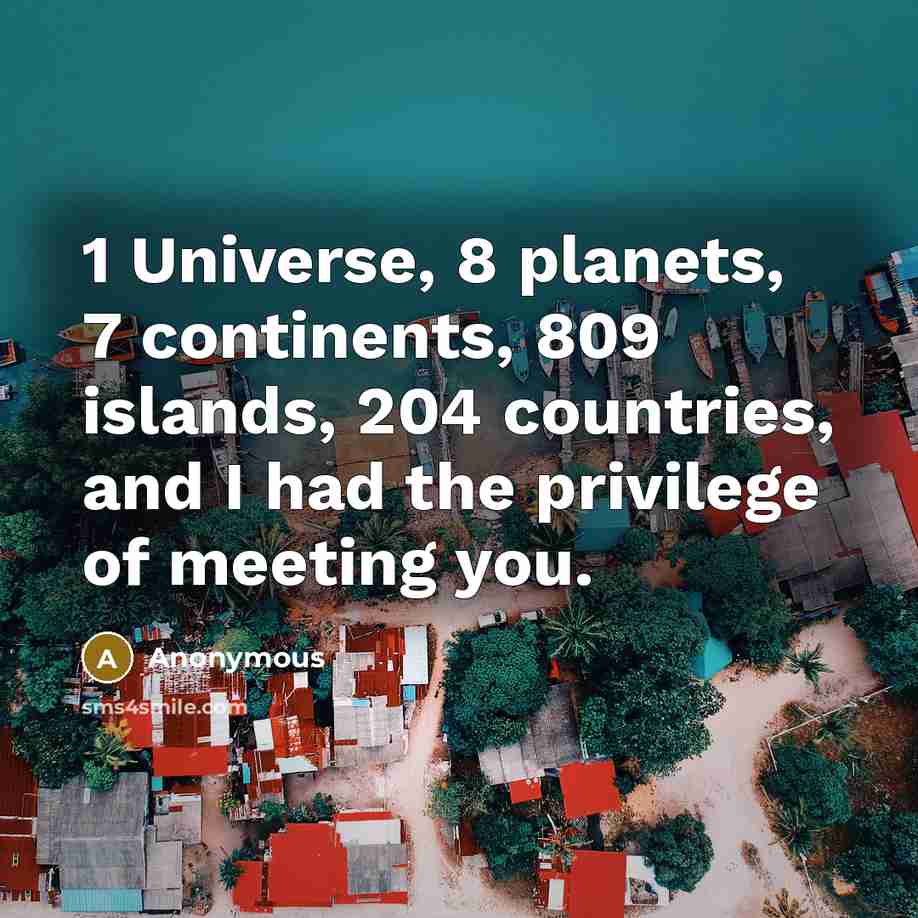 “1 Universe, 8 planets, 7 continents, 809 islands, 204 countries, and I had the privilege of meeting you.” quote by Anonymous
