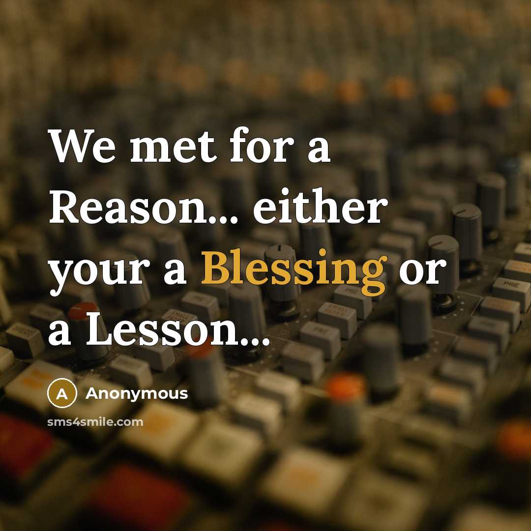 “We met for a Reason... either your a Blessing or a Lesson...” quote by Anonymous