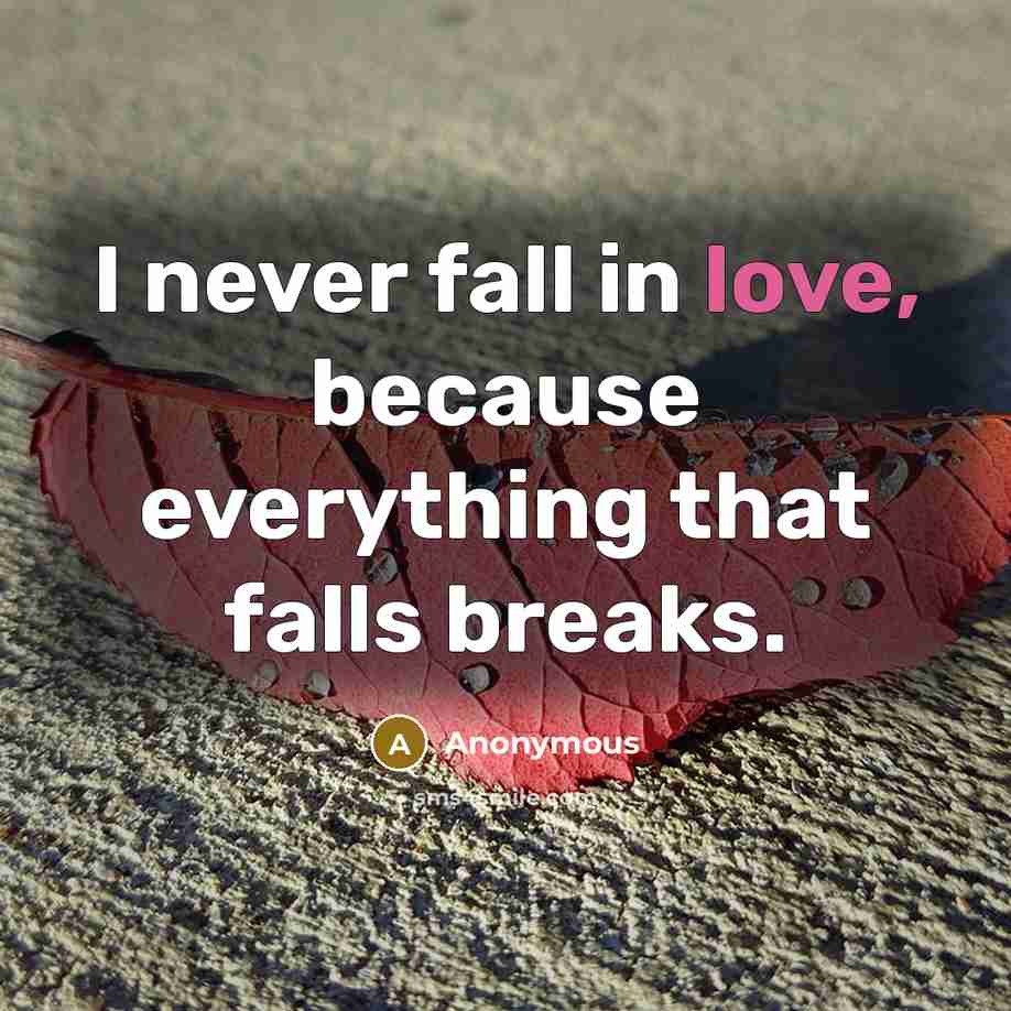 “I never fall in love, because everything that falls breaks.” quote by Anonymous
