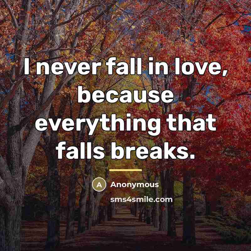“I never fall in love, because everything that falls breaks.…” quote by Anonymous