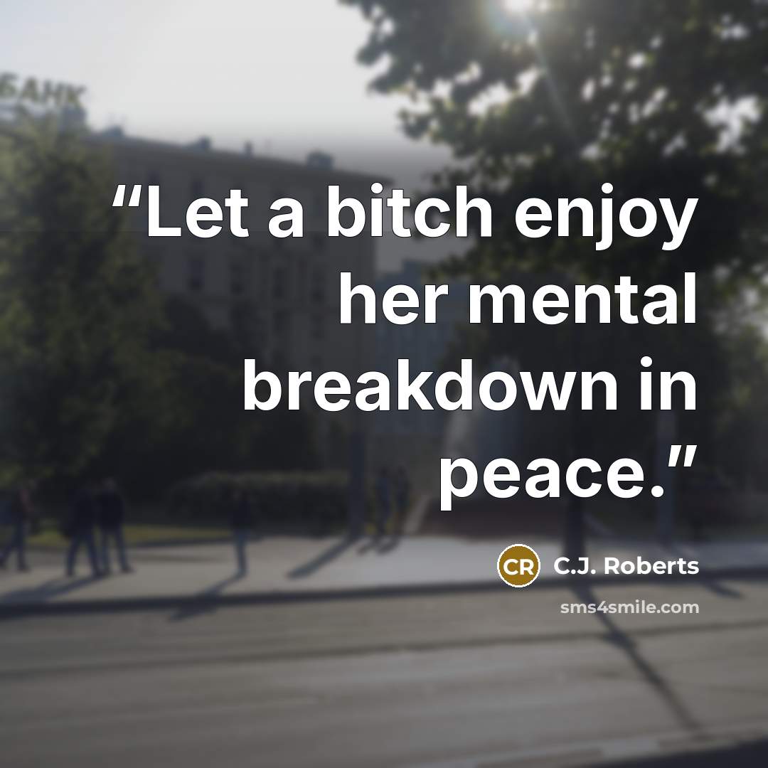 “Let a bitch enjoy her mental breakdown in peace.” quote by C.J. Roberts