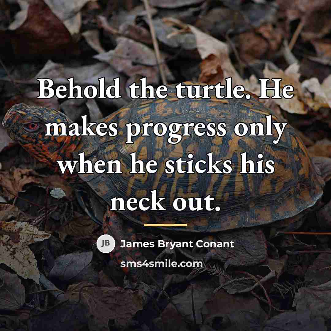 “Behold the turtle. He makes progress only when he sticks…” quote by James Bryant Conant