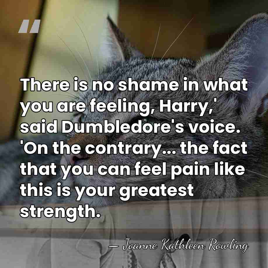 There is no shame in what you are feeling, Harry,' said Dumbledore's&hellip; - Joanne Kathleen Rowling