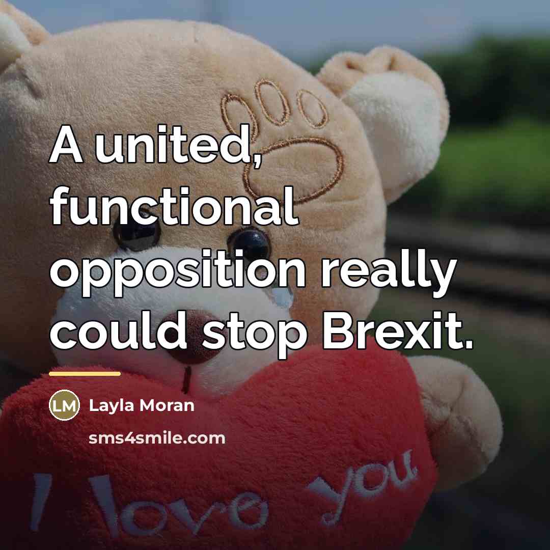 “A united, functional opposition really could stop Brexit.…” quote by Layla Moran