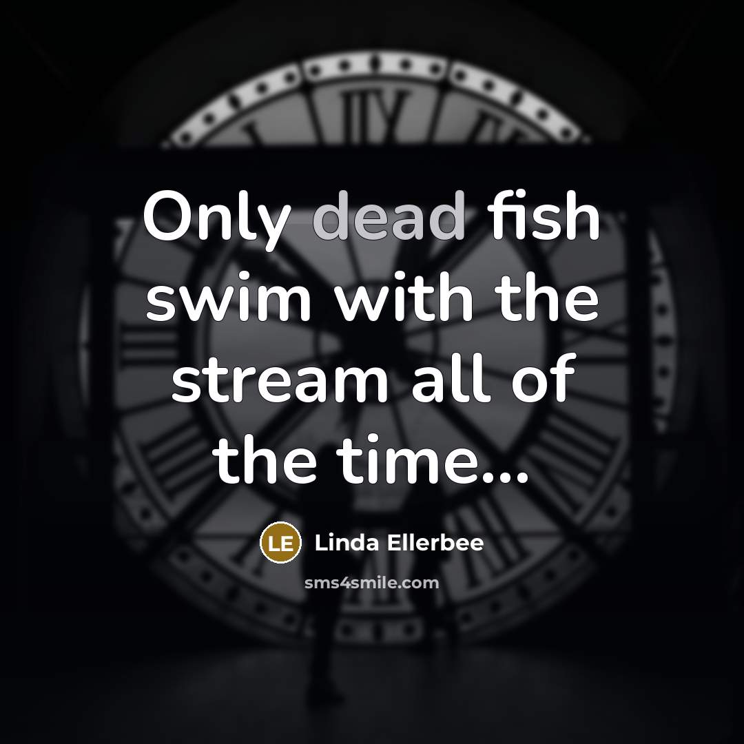 “Only dead fish swim with the stream all of the time…” quote by Linda Ellerbee