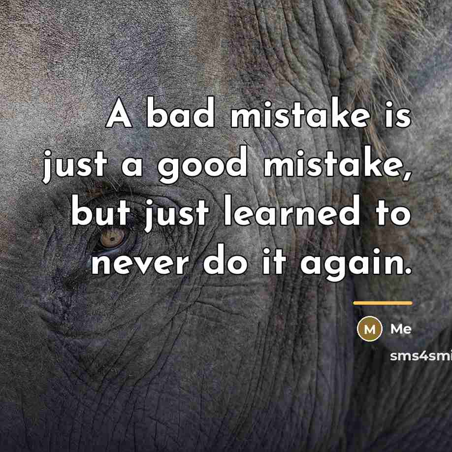 “A bad mistake is just a good mistake, but just…” quote by Me