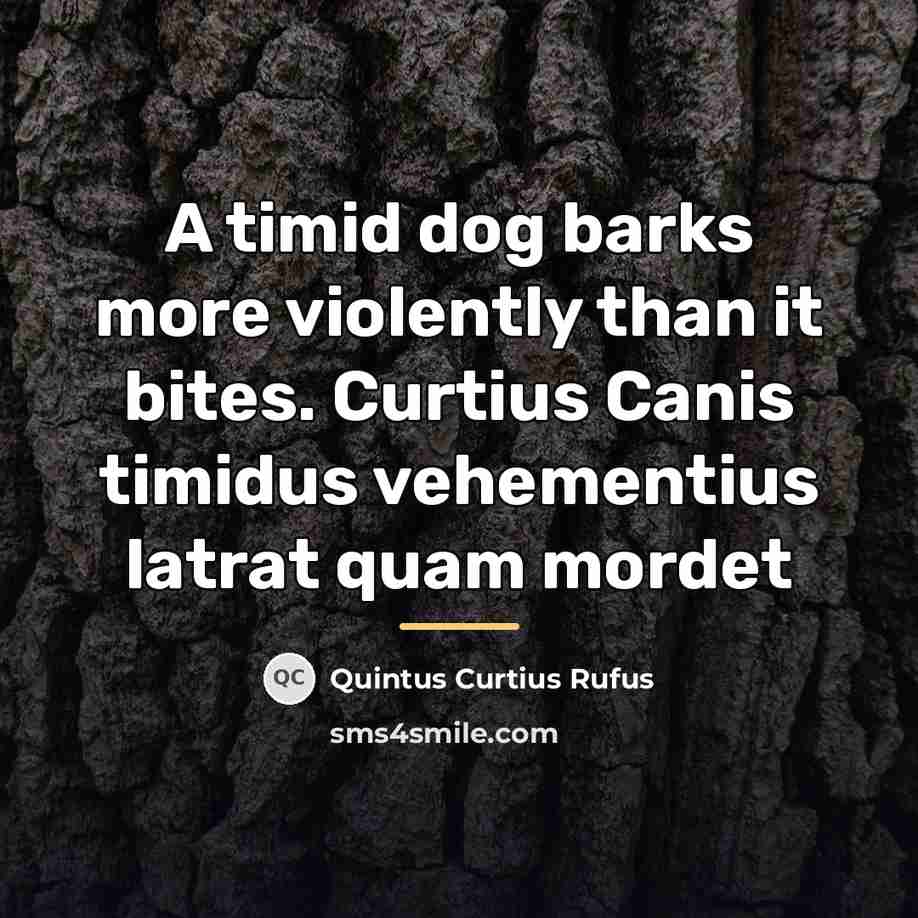 “A timid dog barks more violently than it bites. Curtius…” quote by Quintus Curtius Rufus