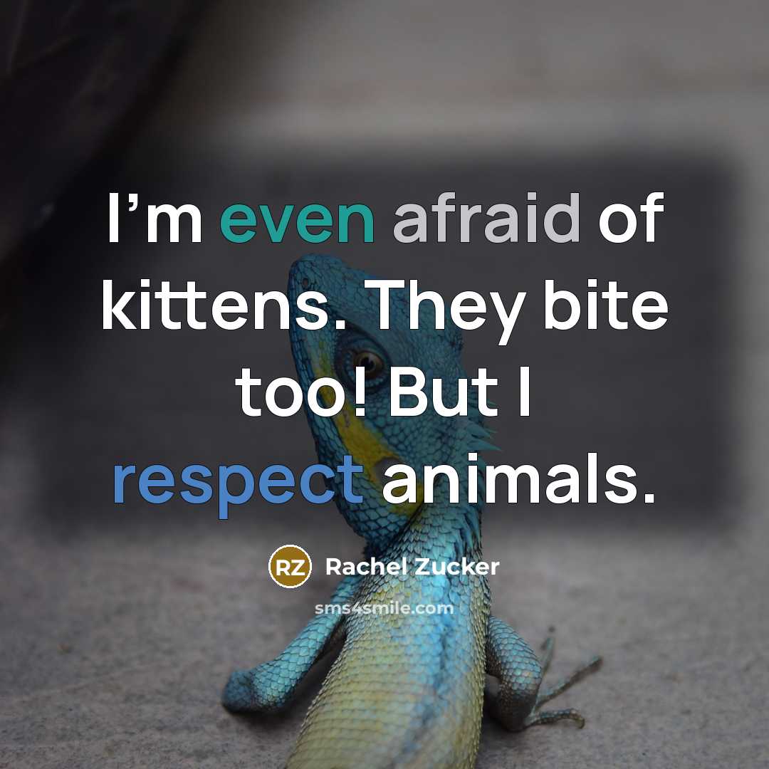 “I'm even afraid of kittens. They bite too! But I…” quote by Rachel Zucker