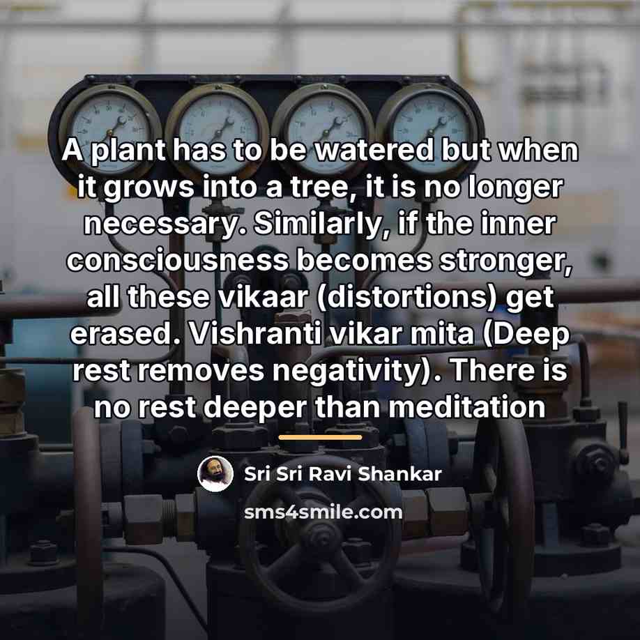 “A plant has to be watered but when it grows…” quote by Sri Sri Ravi Shankar