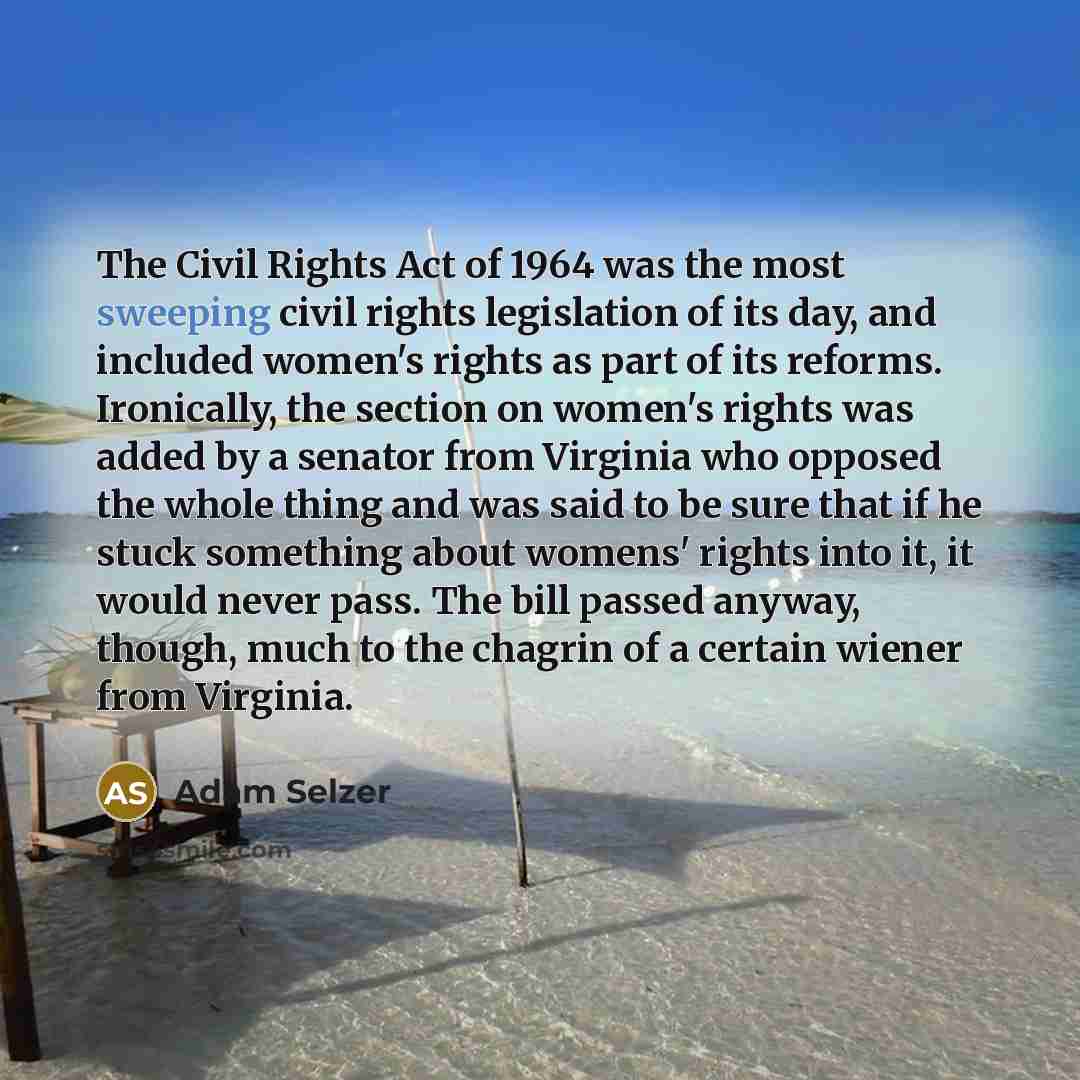 “The Civil Rights Act of 1964 was the most sweeping…” quote by Adam Selzer