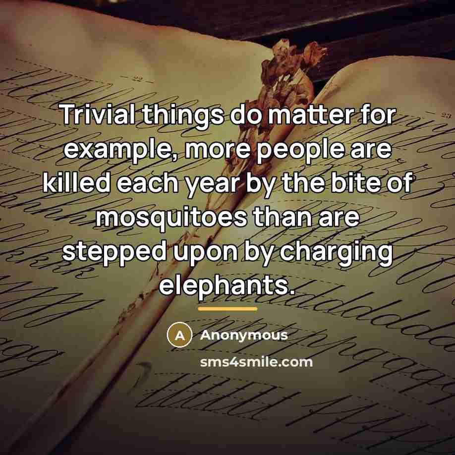 “Trivial things do matter for example, more people are killed…” quote by Anonymous