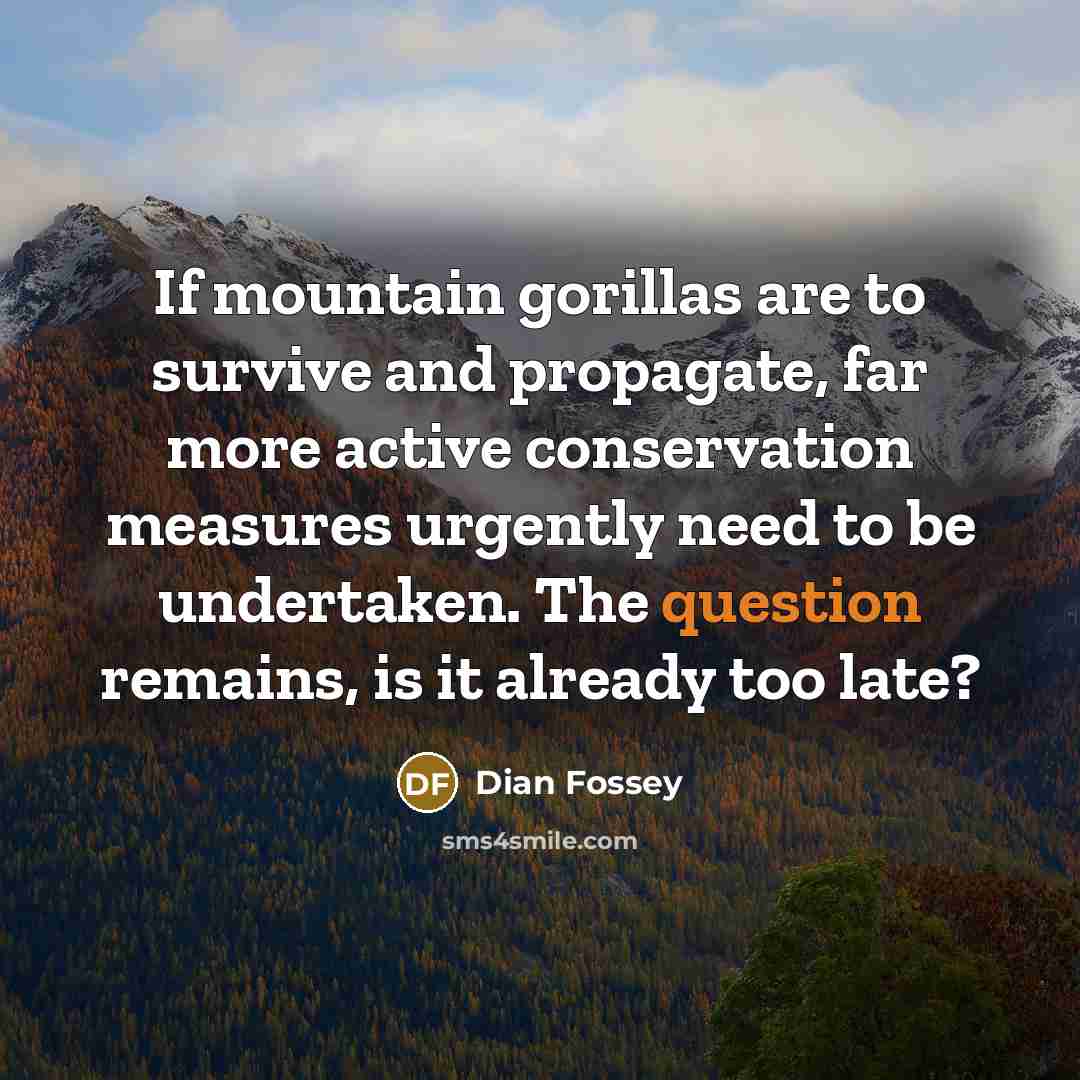 “If mountain gorillas are to survive and propagate, far more active conservation measures urgently need to be undertaken. The question remains, is it already too late?” quote by Dian Fossey