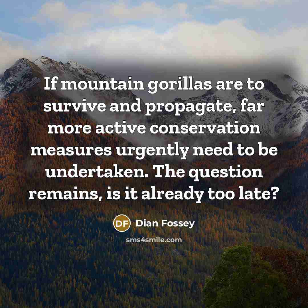 “If mountain gorillas are to survive and propagate, far more…” quote by Dian Fossey