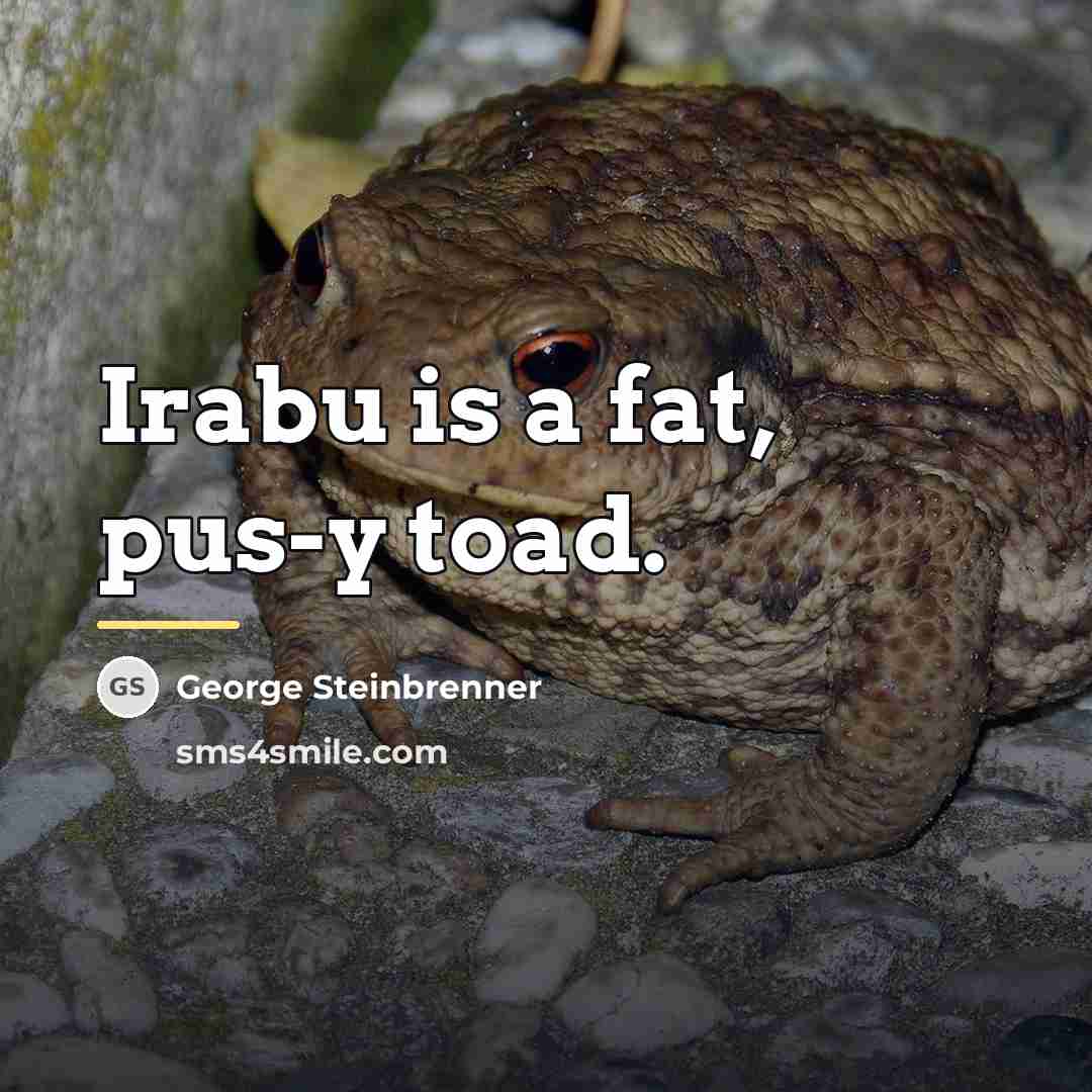 “Irabu is a fat, pus-y toad.…” quote by George Steinbrenner