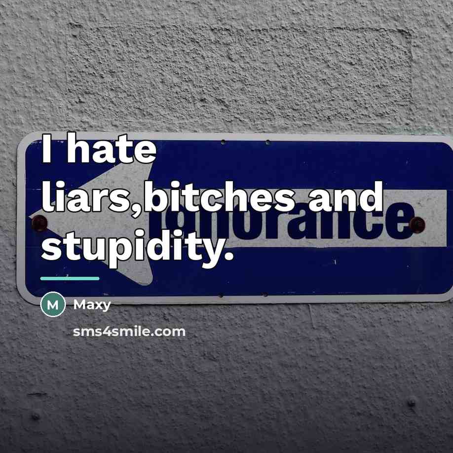 “I hate liars,bitches and stupidity.…” quote by Maxy
