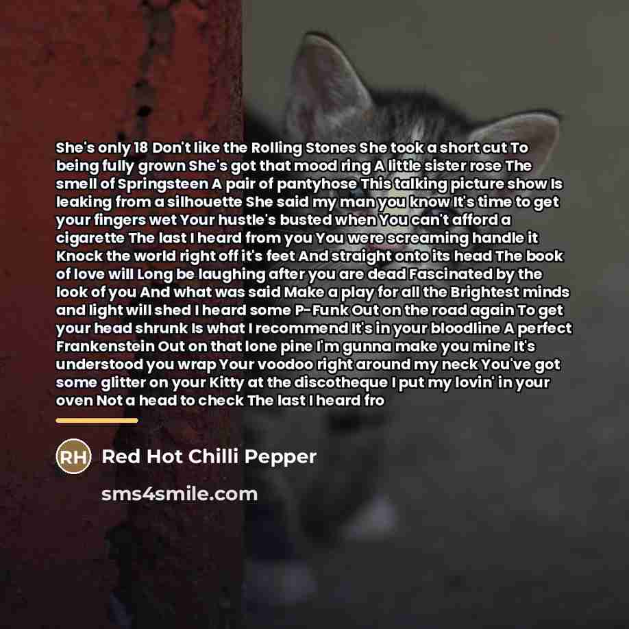 “She's only 18 Don't like the Rolling Stones She took…” quote by Red Hot Chilli Pepper