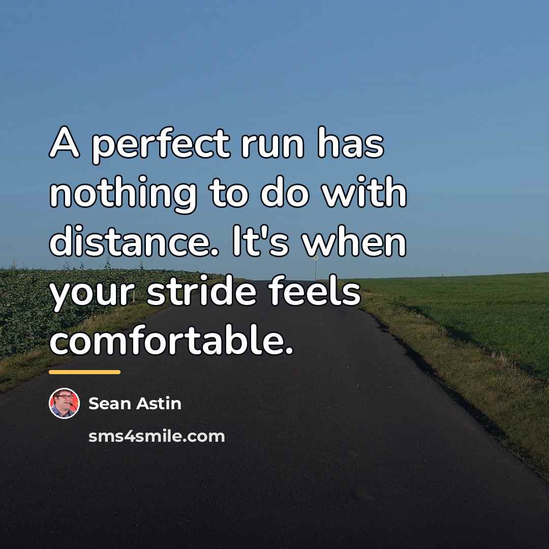 “A perfect run has nothing to do with distance. It's…” quote by Sean Astin