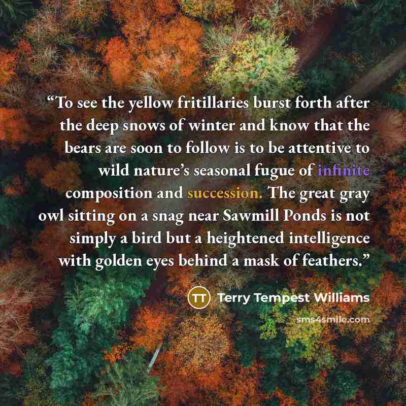 “To see the yellow fritillaries burst forth after the deep snows of winter and know that the bears are soon to follow is to be attentive to wild nature’s seasonal fugue of infinite composition and succession. The great gray owl sitting on a snag near Sawmill Ponds is not simply a bird but a…” quote by Terry Tempest Williams