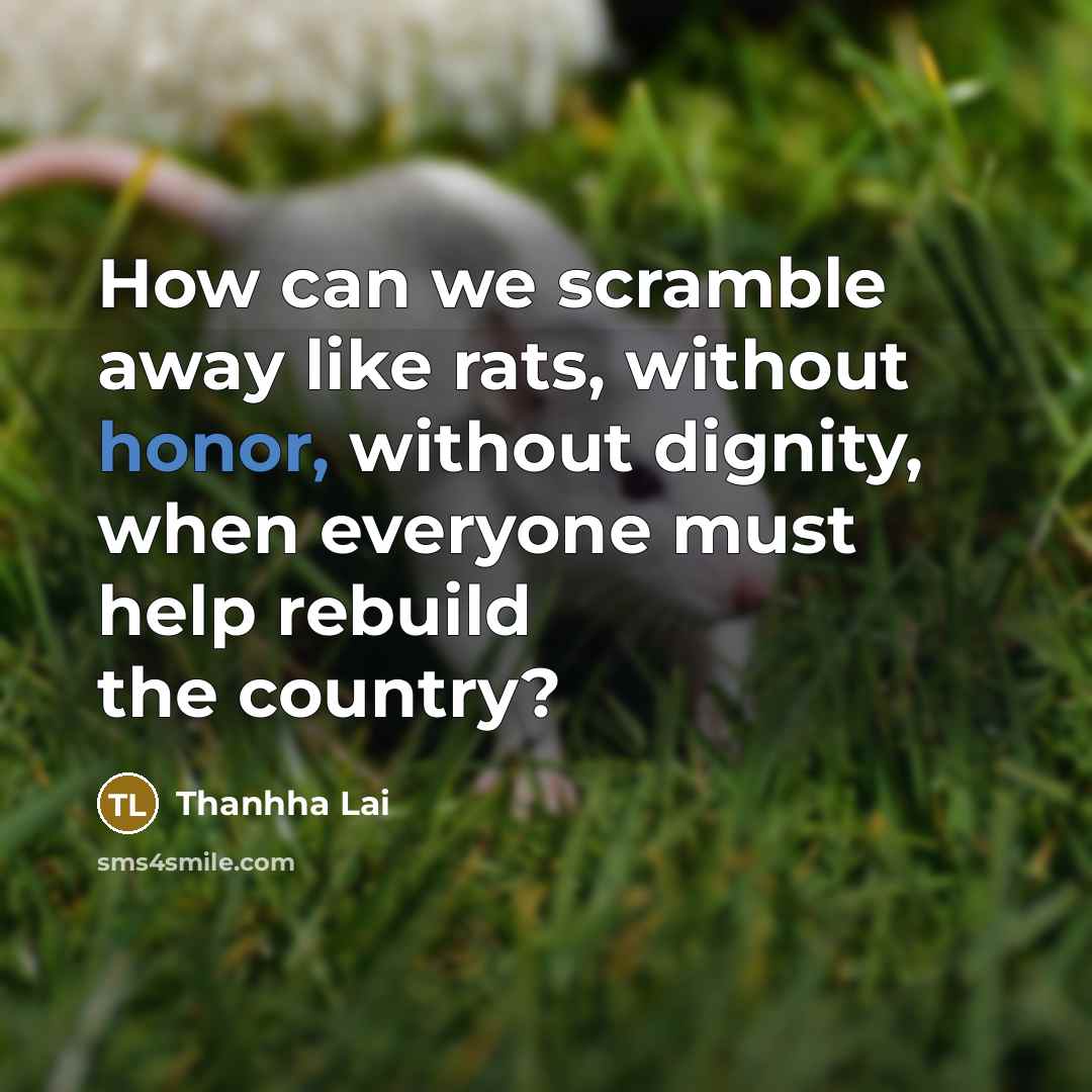 “How can we scramble away like rats, without honor, without…” quote by Thanhha Lai