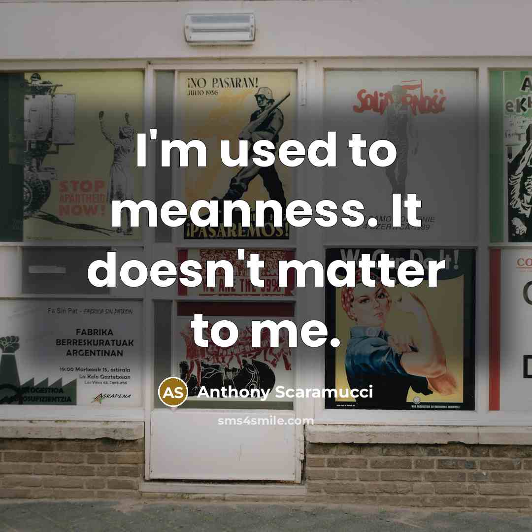 “I'm used to meanness. It doesn't matter to me.…” quote by Anthony Scaramucci