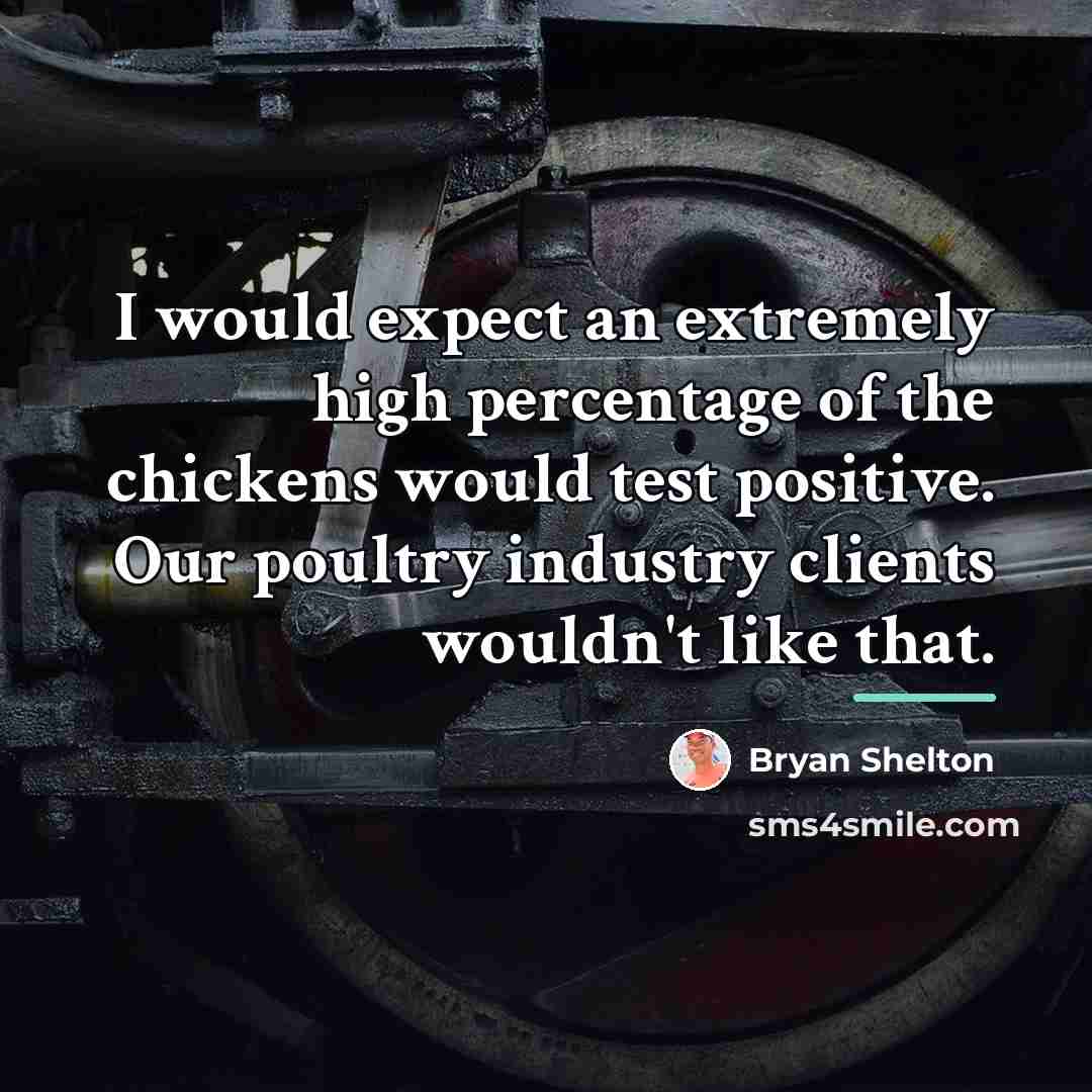 “I would expect an extremely high percentage of the chickens…” quote by Bryan Shelton