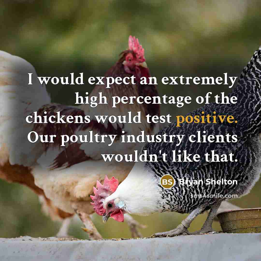 “I would expect an extremely high percentage of the chickens would test positive. Our poultry industry clients wouldn't like that.” quote by Bryan Shelton