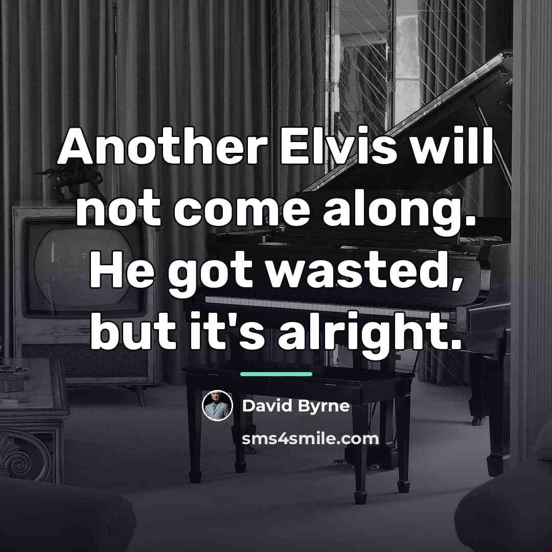 “Another Elvis will not come along. He got wasted, but…” quote by David Byrne