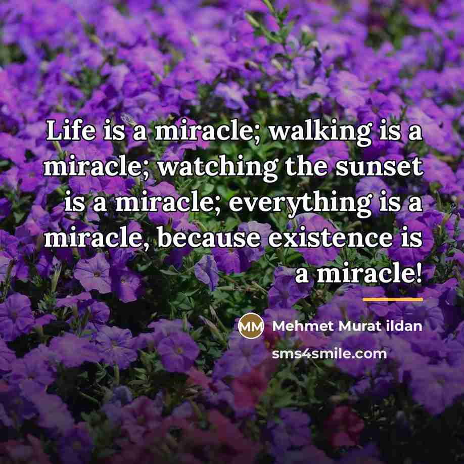 “Life is a miracle; walking is a miracle; watching the…” quote by Mehmet Murat Ildan